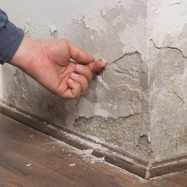 Is rising damp covered by buildings insurance
