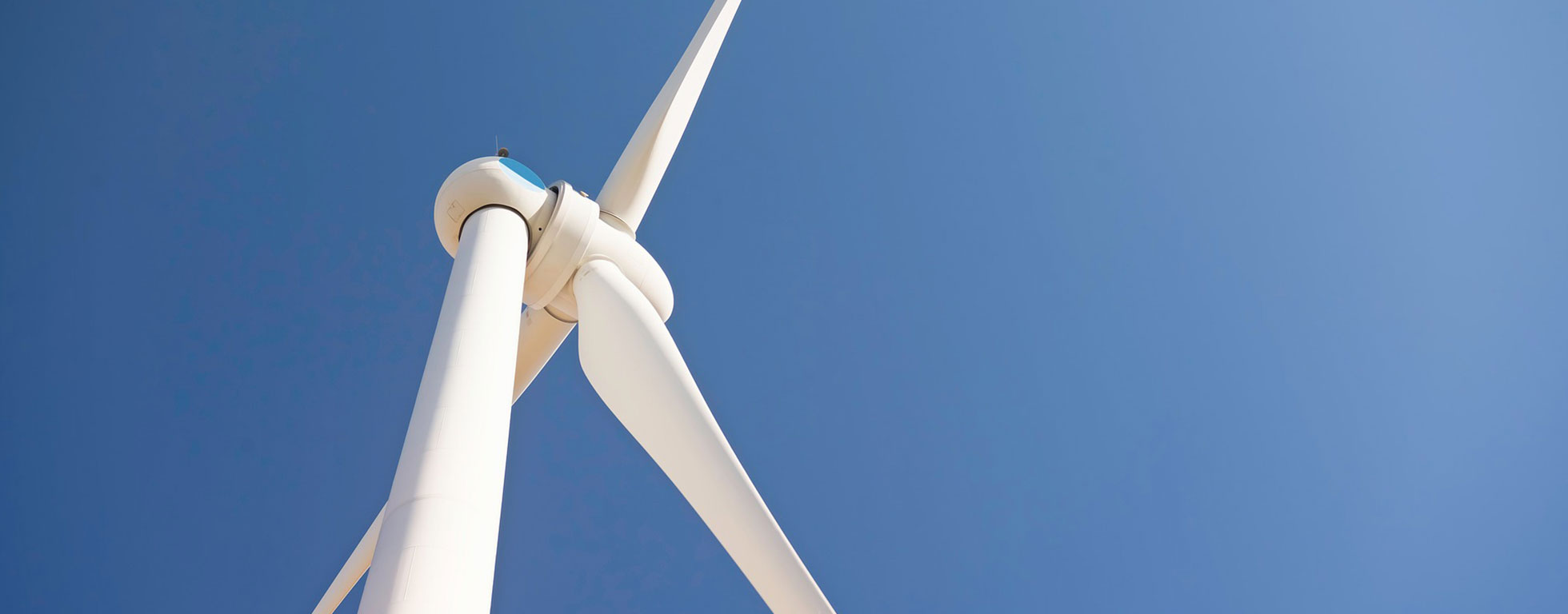 Windfarm trade credit insurance case study