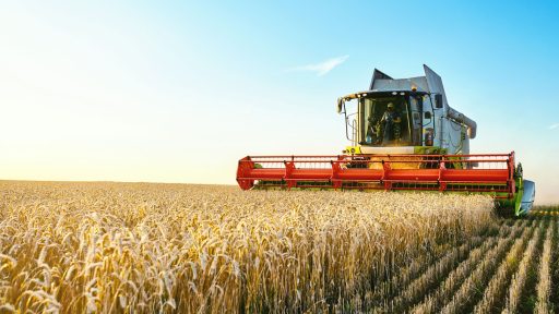 A guide to arable farming in the UK