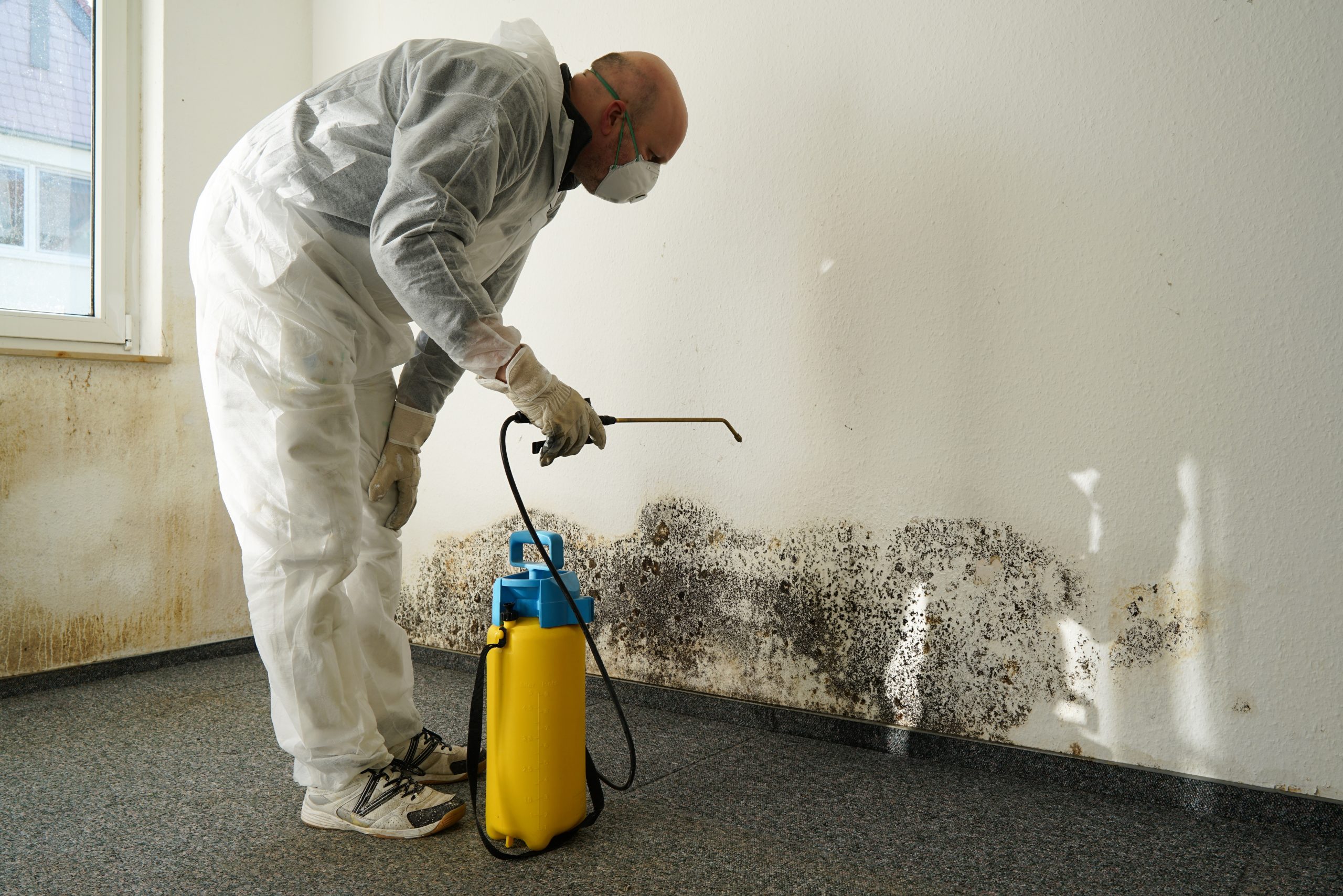 Damp and mould in rental property Alan Boswell Group